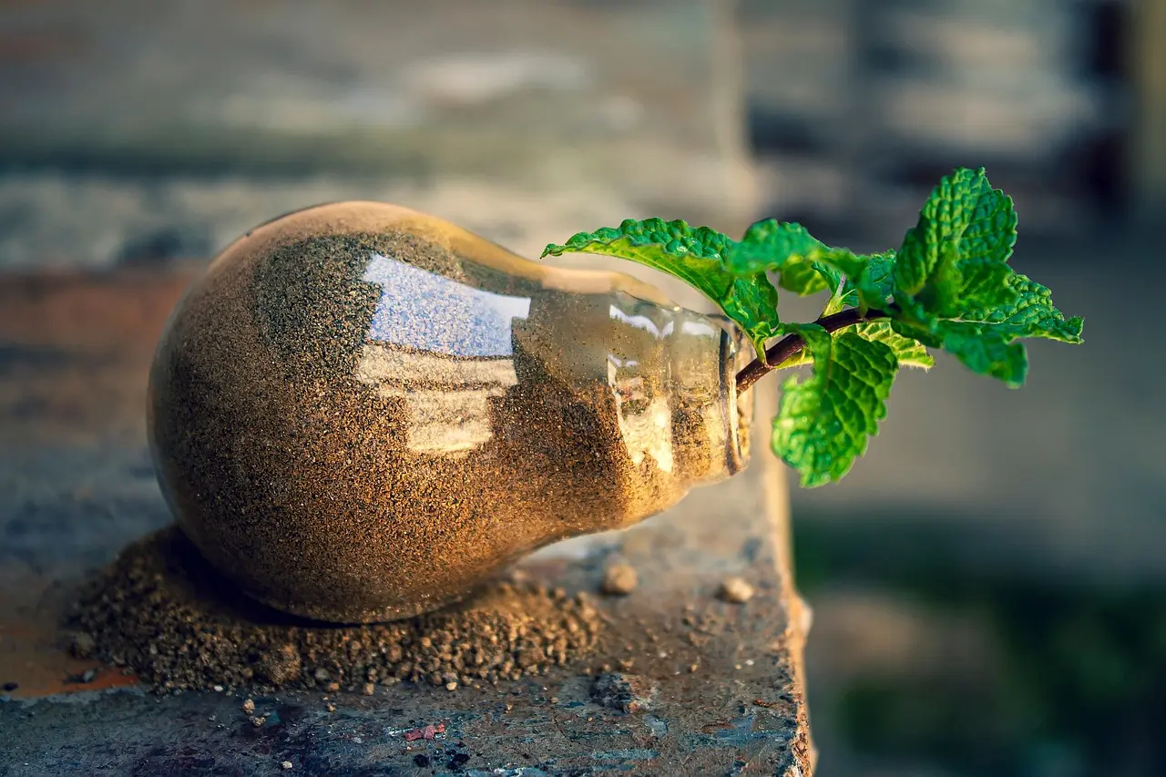 Bando Soluzioni - Innovazione per la Transizione Ecologica in Emilia Romagna