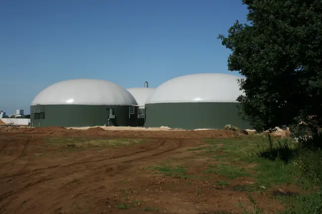 Riconversione biogas esistente in biometano - Manaresi Tamara